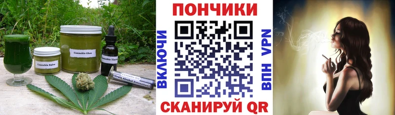 Купить закладки  Партизанск  Canna-Cookies конопля 