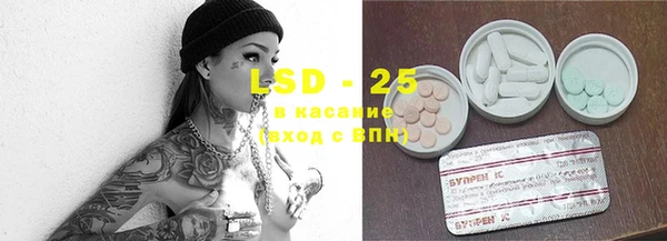 ГАЛЛЮЦИНОГЕННЫЕ ГРИБЫ Богородицк