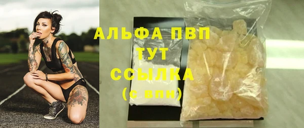 spice Богданович