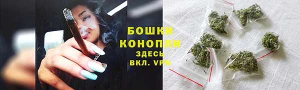 твердый Богородск