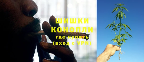 ГАЛЛЮЦИНОГЕННЫЕ ГРИБЫ Богородицк