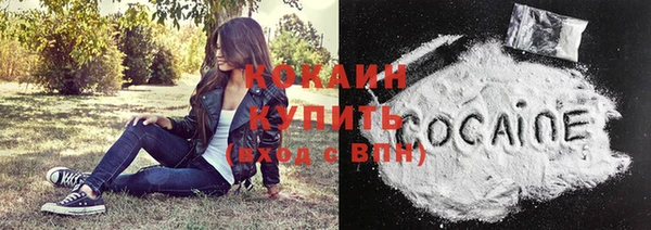 spice Богданович