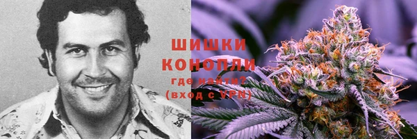 spice Богданович